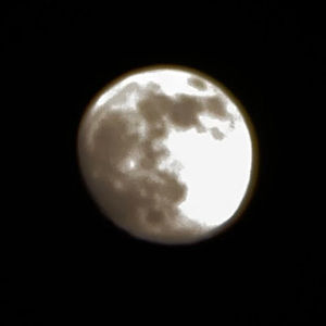 Meet your Posher, Joc